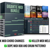 “Destroy your beat block instantly, finish melodies and chords faster and stay inspired for MONTHS with over 1000 drag and drop MIDI files!